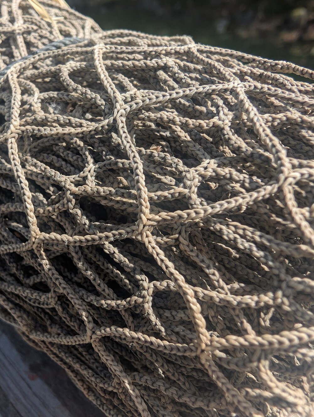 Nautical Net | Starfish - Picture 2 of 8